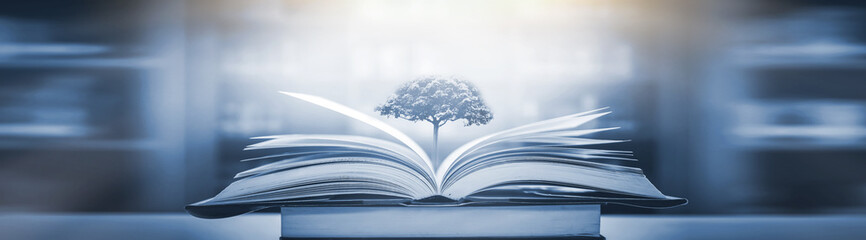 品茶的精美句子