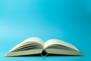 拥有一只可爱的橘猫是什么体验?