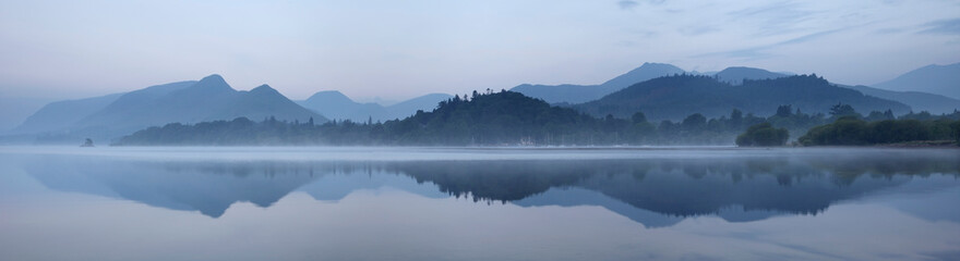拥有一只可爱的橘猫是什么体验？
