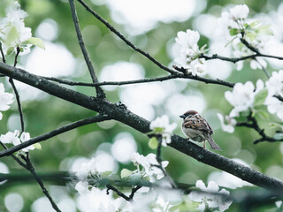 知乎怎么评价中国的禁毒工作