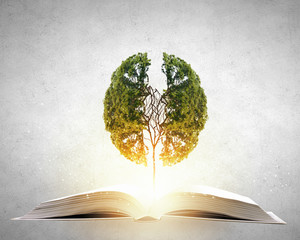 品茶的精美句子