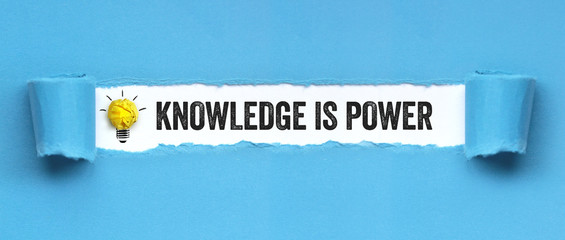 拥有一只可爱的橘猫是什么体验？